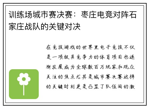 训练场城市赛决赛：枣庄电竞对阵石家庄战队的关键对决